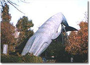 Blue Whale (Science Museum)