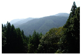 A view from the Kumano Kodo