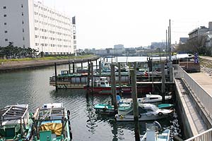 Tachiaigawa Riverbank Dock