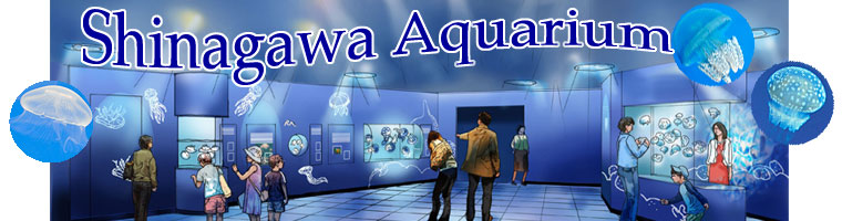 Shinagawa Aquarium