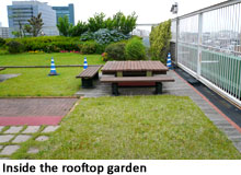 Inside the rooftop garden