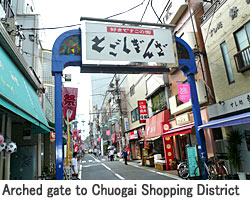 Arched gate to Chuogai Shopping District