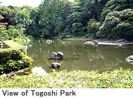 View of Togoshi Park