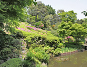 1.Ikedayama Park