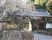 4.Togoshi Park