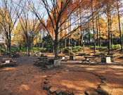 9.Shinagawa Kumin Park