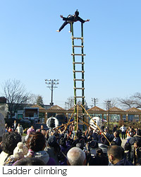 Ladder climbing