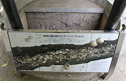 Shell mound exhibit