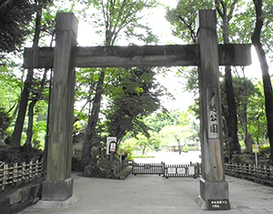 Togoshi Park-3